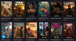 Top Nigerian novels → Best African authors → Hausa novels → Romance novels