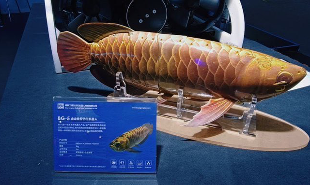 China Unveils BG-5 ‘Golden Dragon Fish’ Bionic Robot Fish at CIFTIS in Beijing