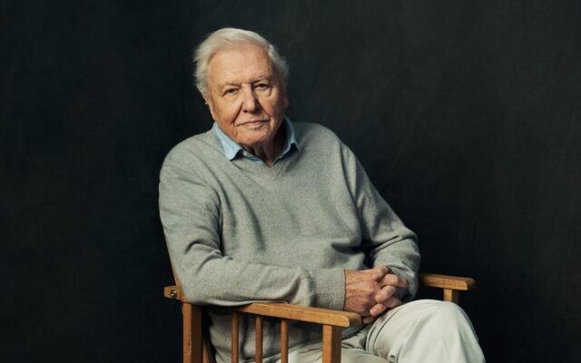 "The nature of human beings is that they'd far rather face the disaster that is happening tonight than the disaster that is going to happen in five years' time." - David Attenborough