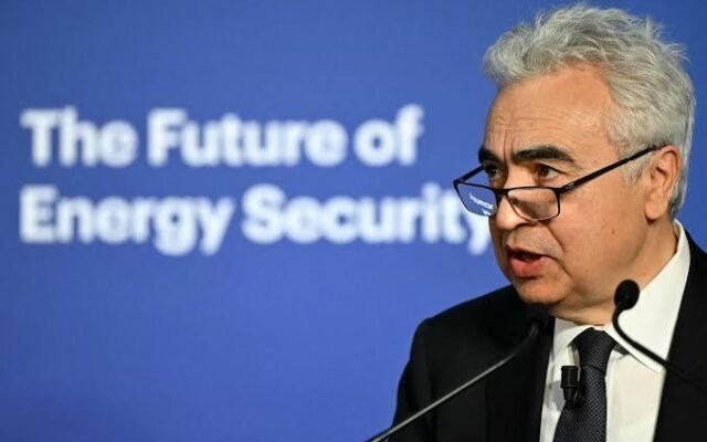 IEA Chief Says Member States Stand Ready to Discuss More Oil Reserve Releases if Needed