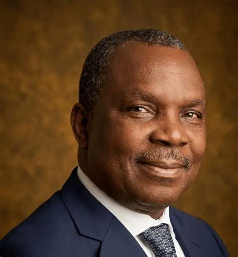 Austin Avuru Biography: Seplat, Entrepreneurship and Energy Leadership
