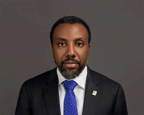 Nigeria Should Deepen FX Derivatives Before the Next Market Shock, FMDQ CEO Zeal Akaraiwe Urges Naira Hedging Push